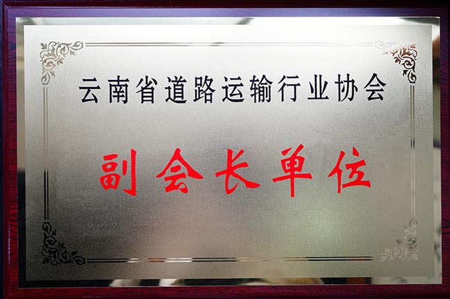 44云南省道路運(yùn)輸行業(yè)協(xié)會副會長單位